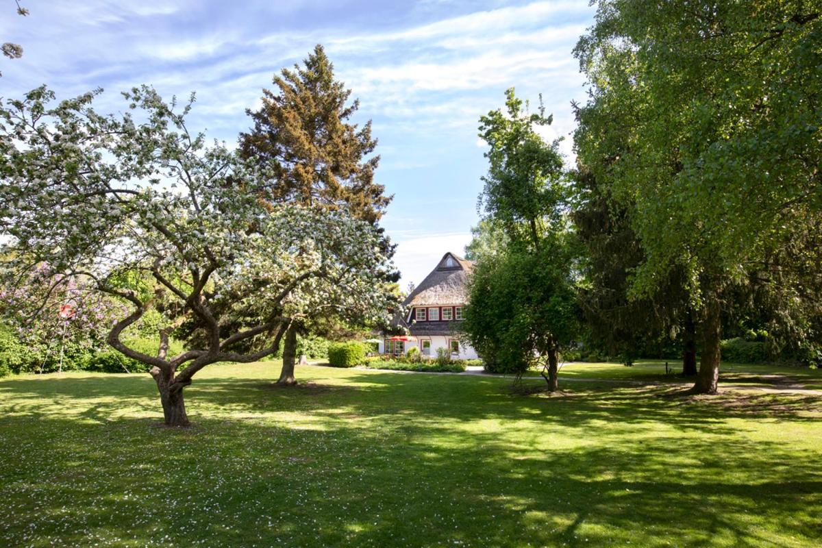Reetdachhaus mit Nähe zur Ostsee, Außensauna, Spielplatz&großem Garten Manhagen Exterior foto